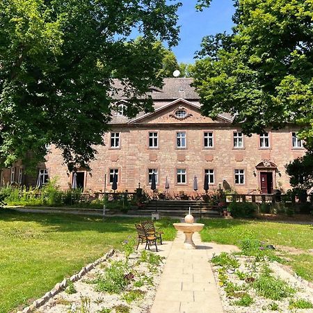 Schloss Zingst Querfurt Extérieur photo