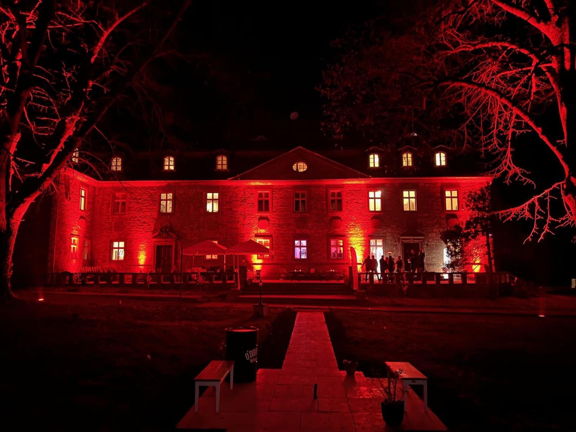 Schloss Zingst Querfurt Extérieur photo